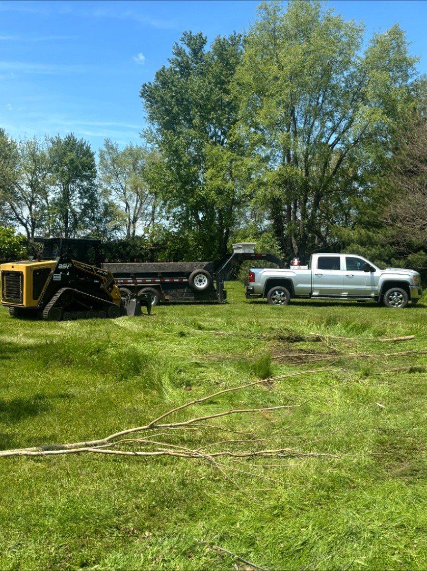 Land Clearing