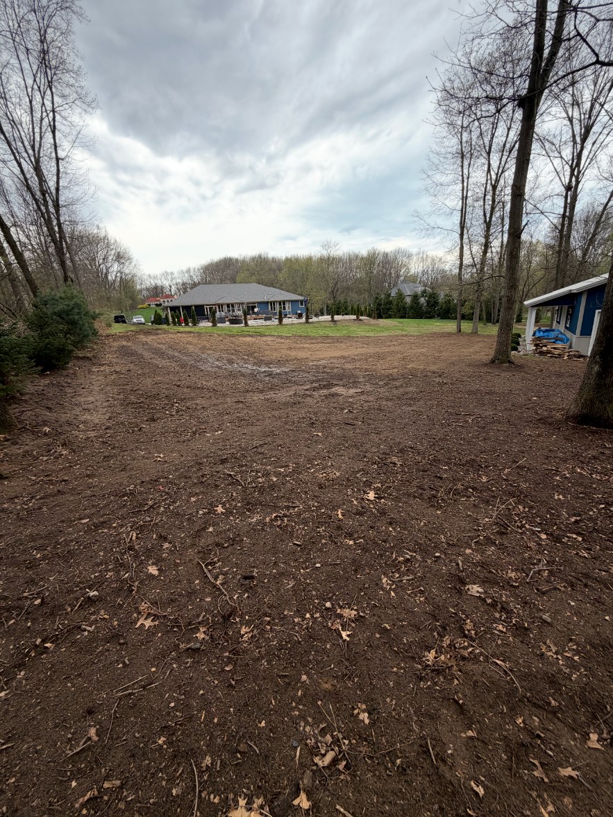 Cleared lot